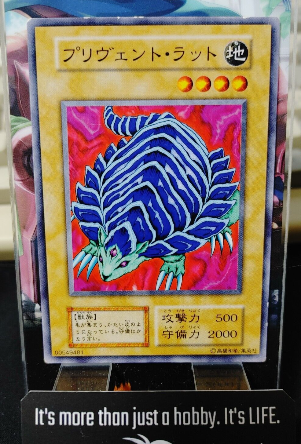 47423247