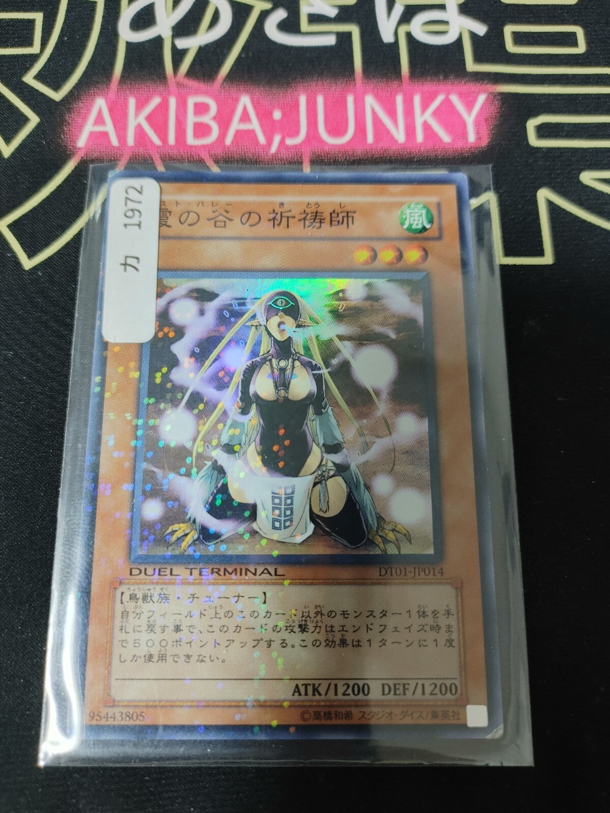 47434566