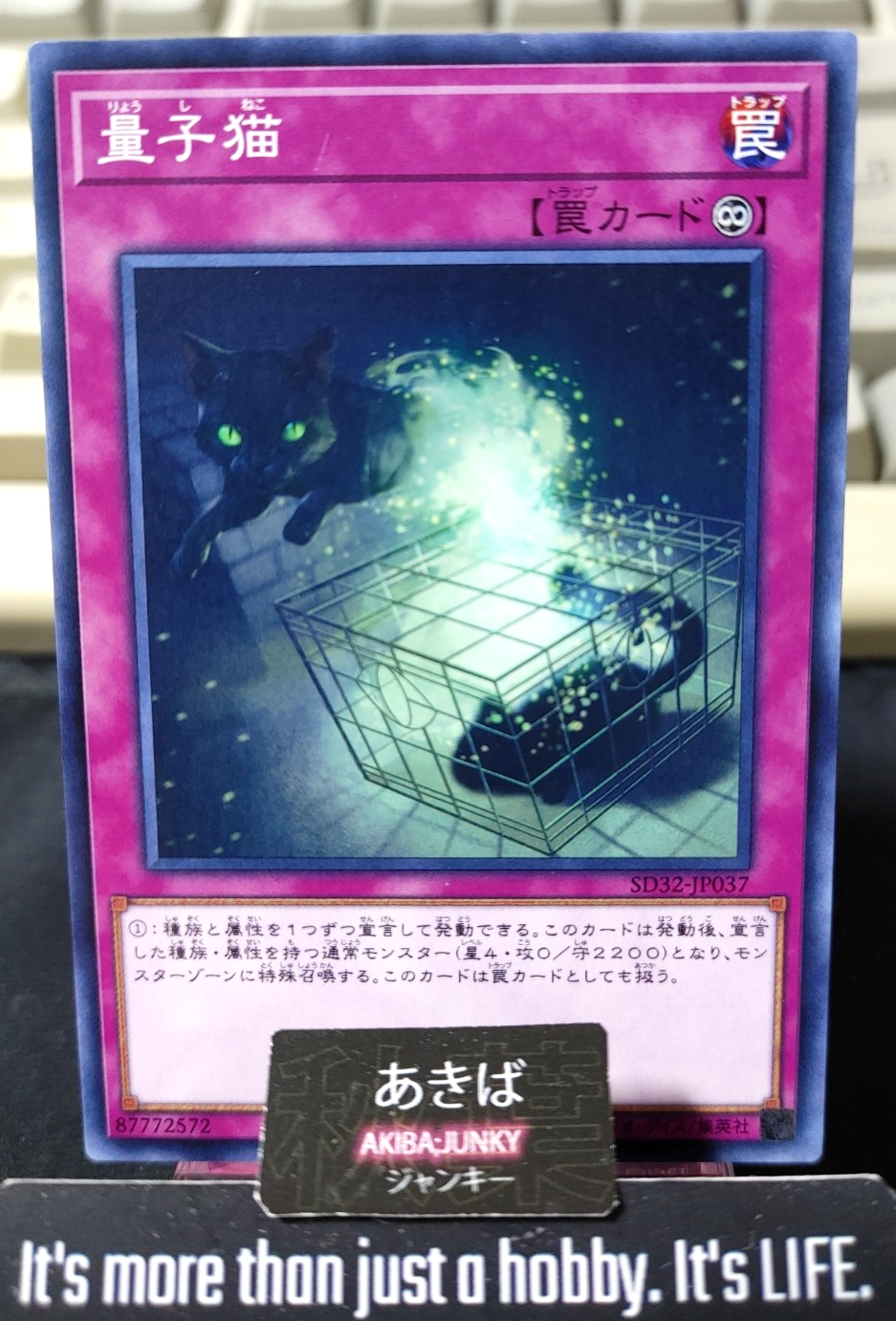 Quantum Cat Yugioh SD32-JP037 Yu-Gi-Oh Konami OCG JAPAN