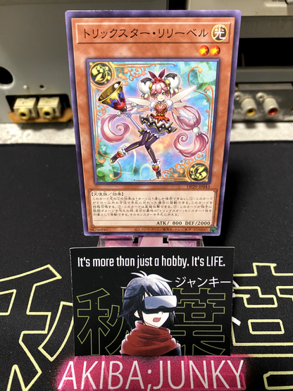 47428023