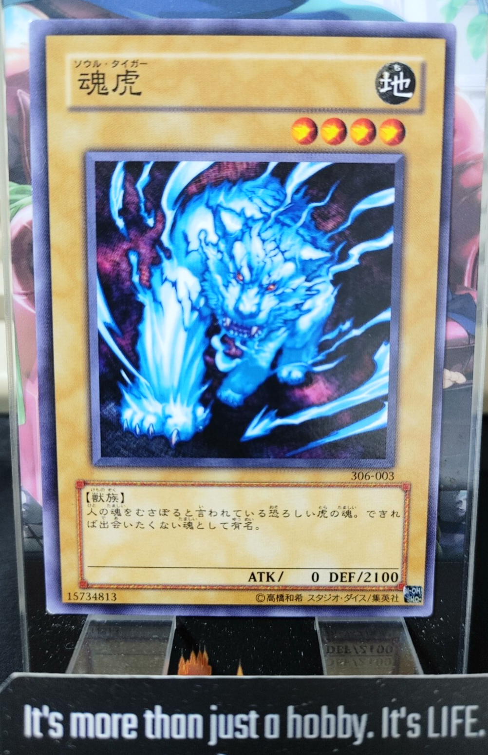 47424748