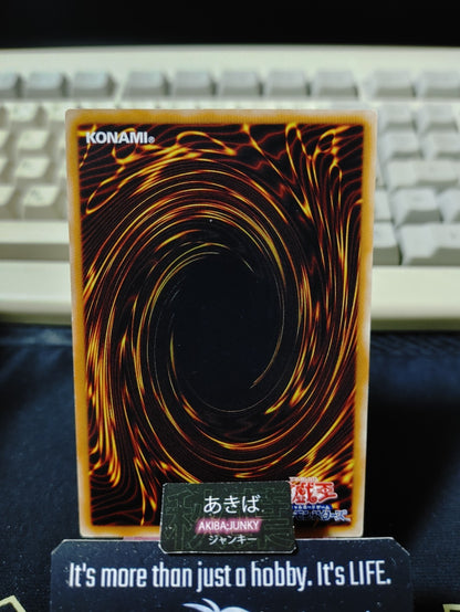 Supremacy Berry Yugioh RGBT-JP060 Konami OCG JAPAN