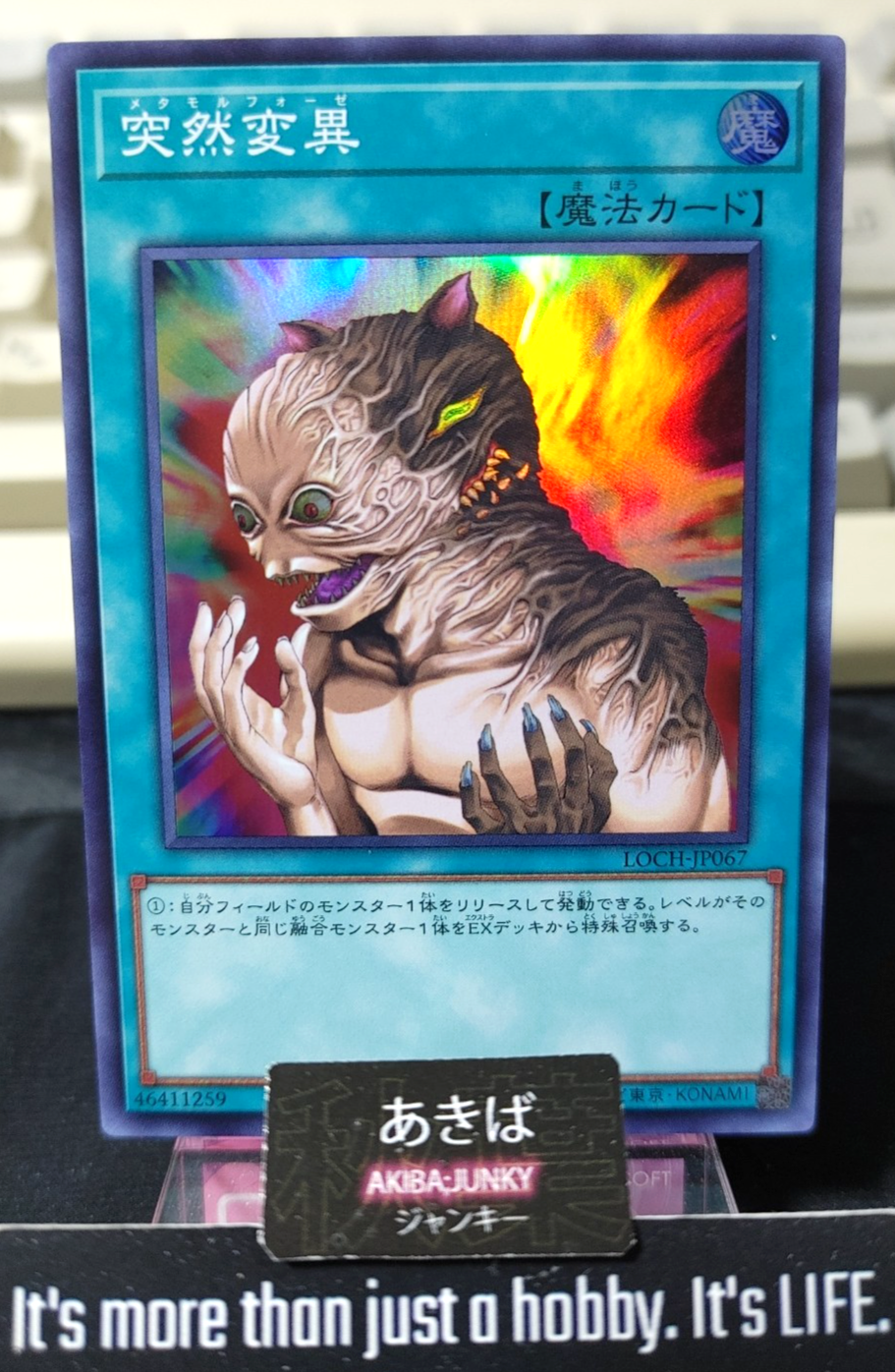 47423421