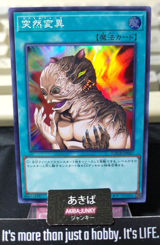 47423421