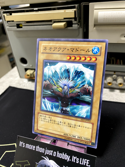 47431093