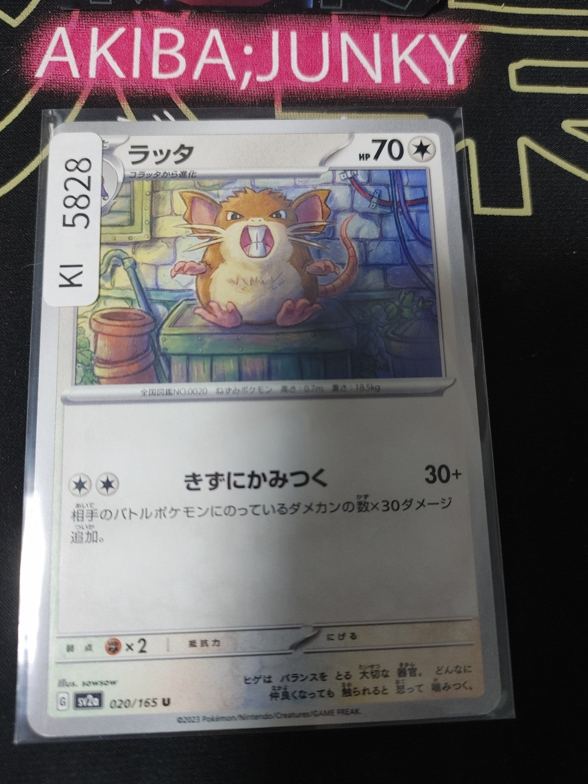 Pokemon Raticate SV2a 020/165 U Card Japanese JAPAN Release