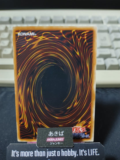 Parrot Dragon Yugioh PE-04 Yu-Gi-Oh Konami OCG JAPAN