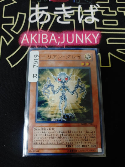 47430692