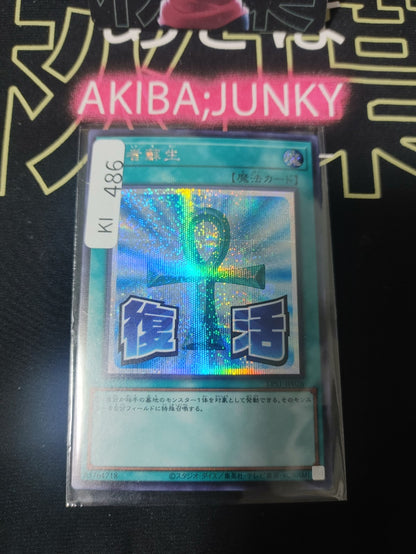 47429208