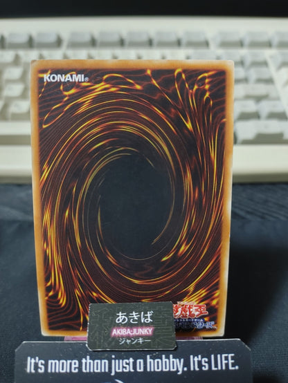 Thought Ruler Archfiend Yugioh TDGS-JP044 Ultimate Rare Konami OCG JAPAN