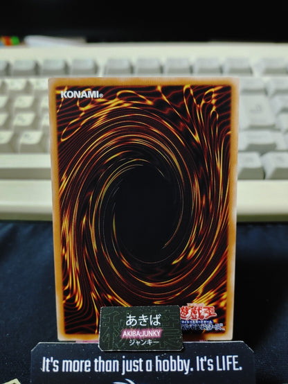 Xyz Slidolphin Yugioh DANE-JP023 Konami OCG JAPAN