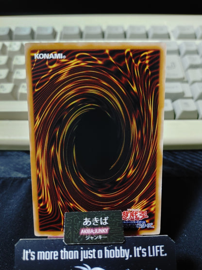 Foolish Graverobber Yugioh BETB-JP070 Yu-Gi-Oh Konami OCG JAPAN