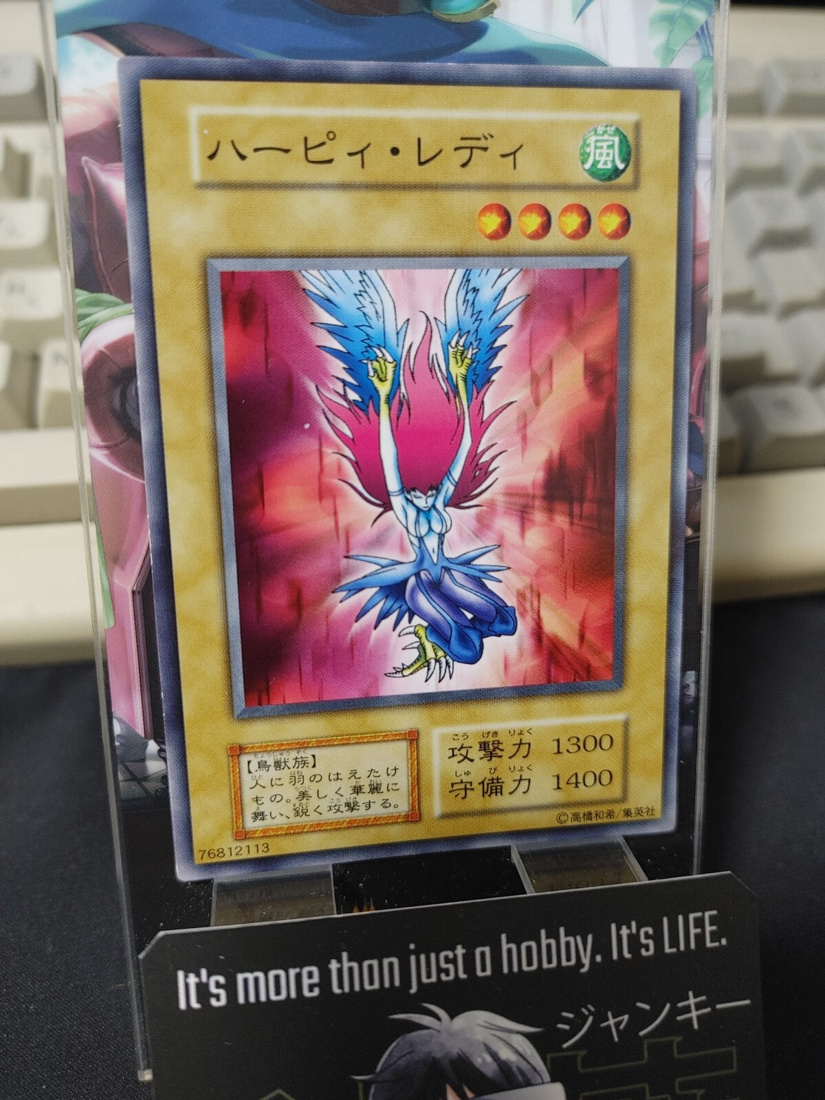 47431049