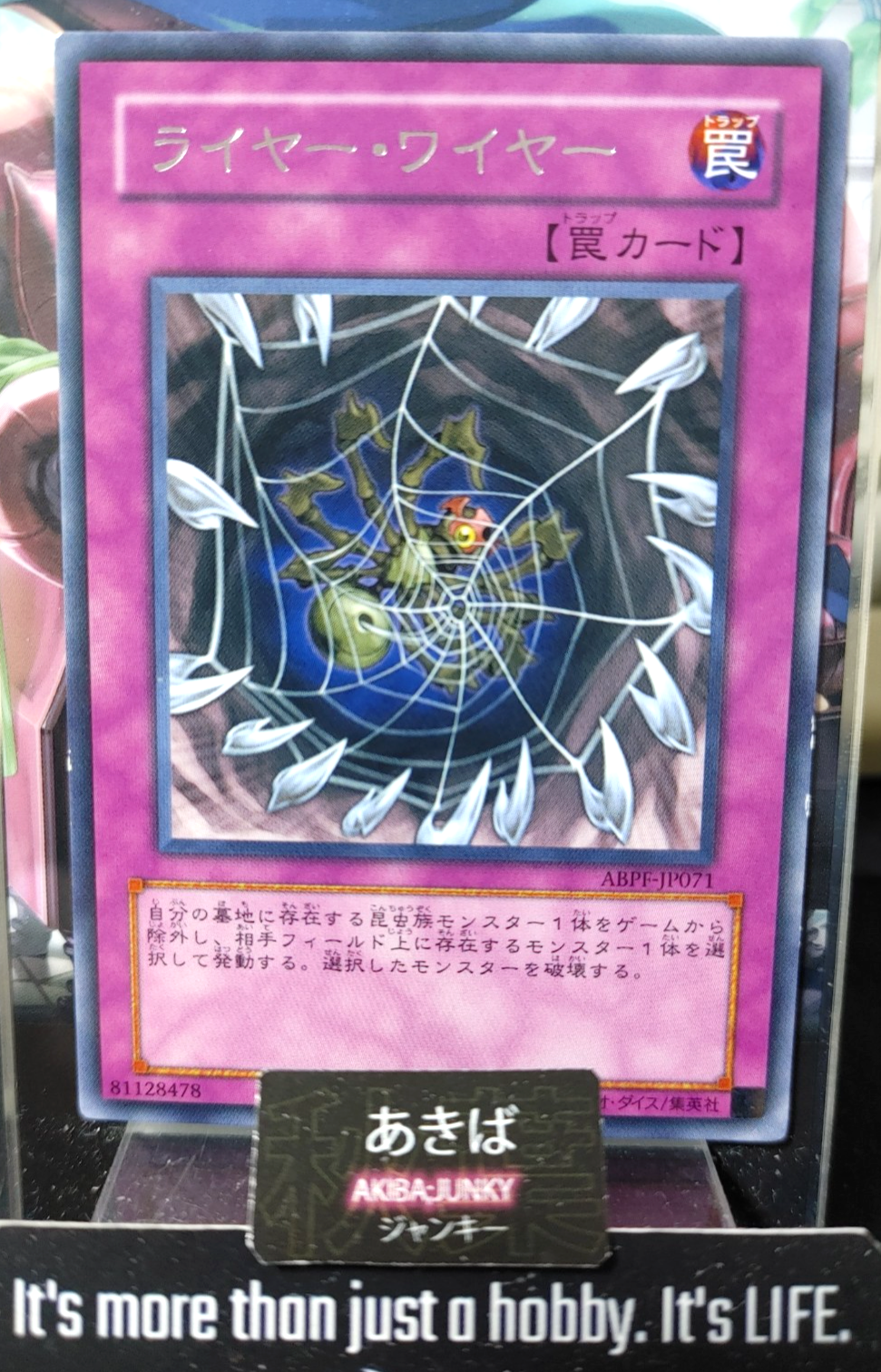 47428881