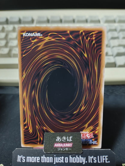 Mermail Shadow Bodyguards Yugioh ROTA-JP018 Yu-Gi-Oh Konami OCG JAPAN