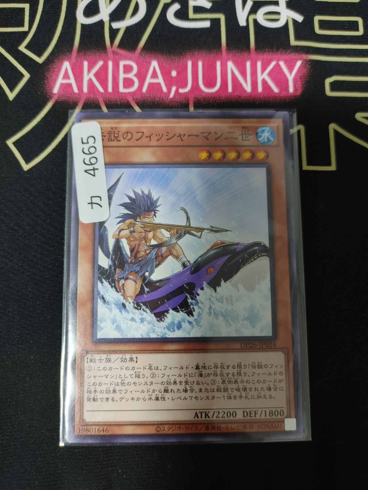 47433649