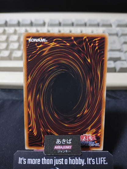 Draw Muscle Yugioh NECH-JP057 Rare Konami OCG JAPAN