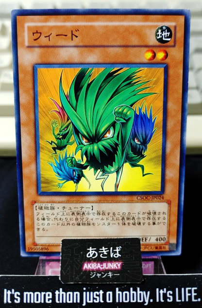 47429387