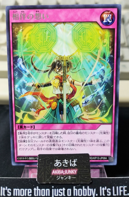 47431354