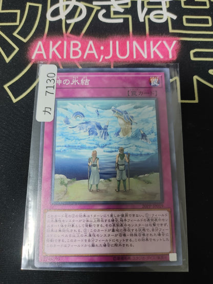 47431137