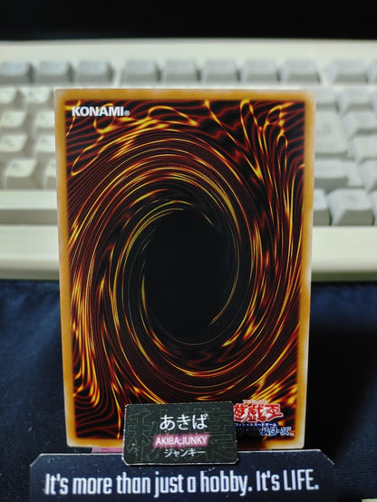 Harpie Lady Yugioh Manga Style YAC1 Secret Rare BW Konami OCG JAPAN