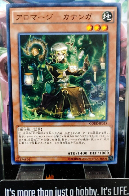 47431645