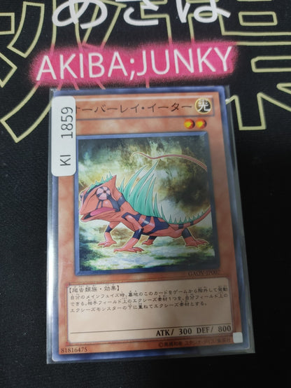 47426251