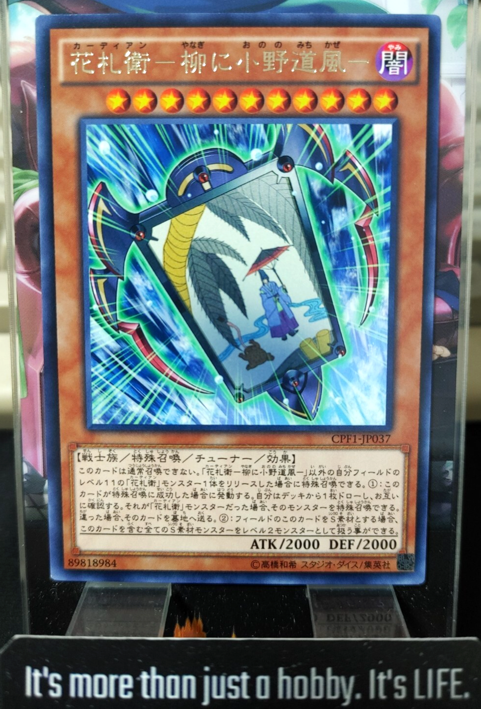 47429054