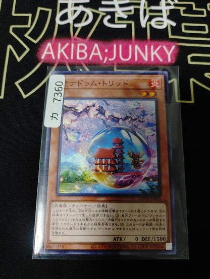 47423263