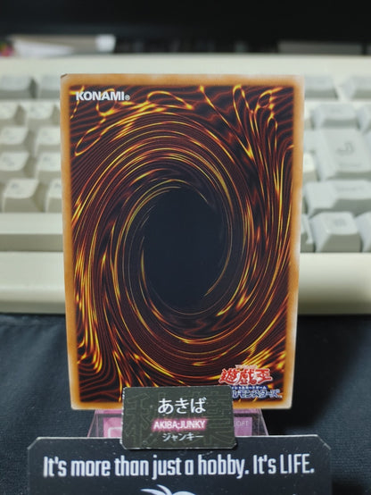 47424842