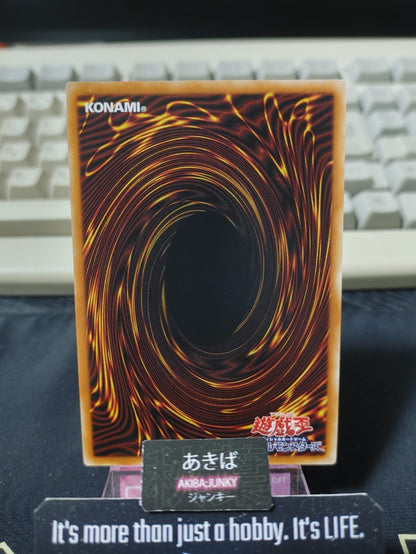 47434694