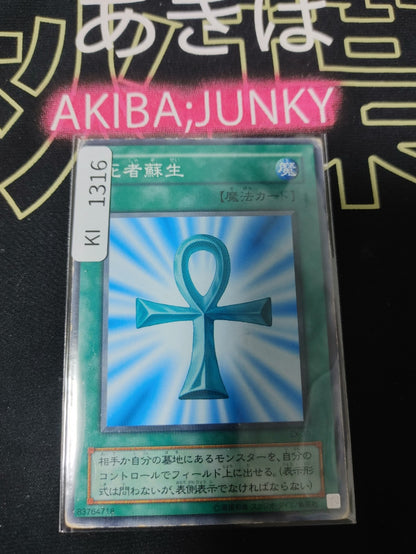 47433050