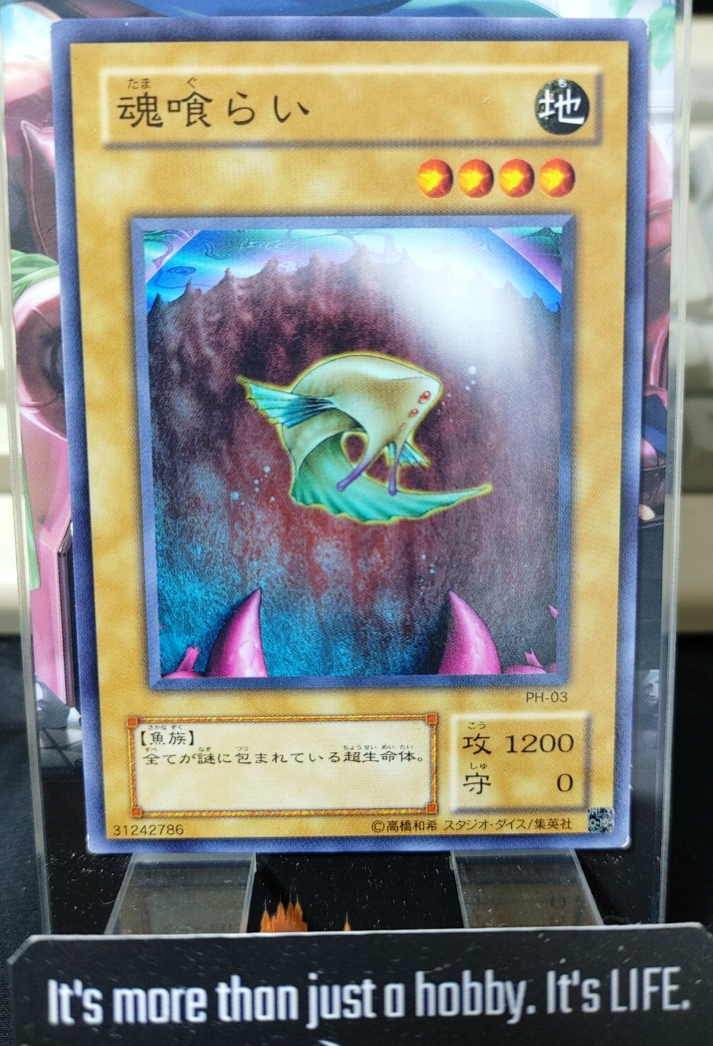 47427405