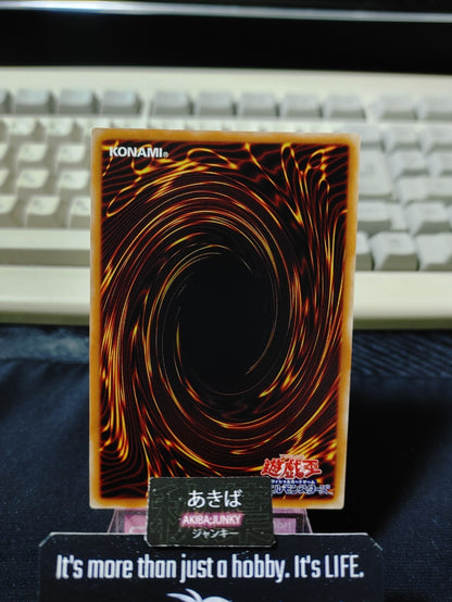 47430405