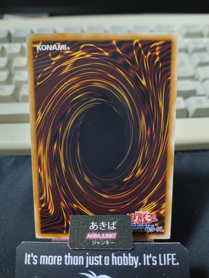 Reinforce Truth Yugioh ANPR-JP064 Rare Konami OCG JAPAN