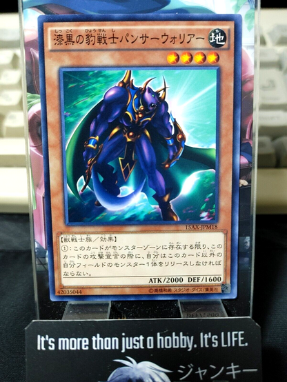 47429035