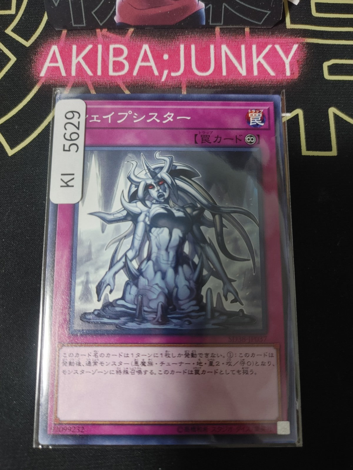 Shapesister Yugioh SD38-JP037 Yu-Gi-Oh Konami OCG JAPAN