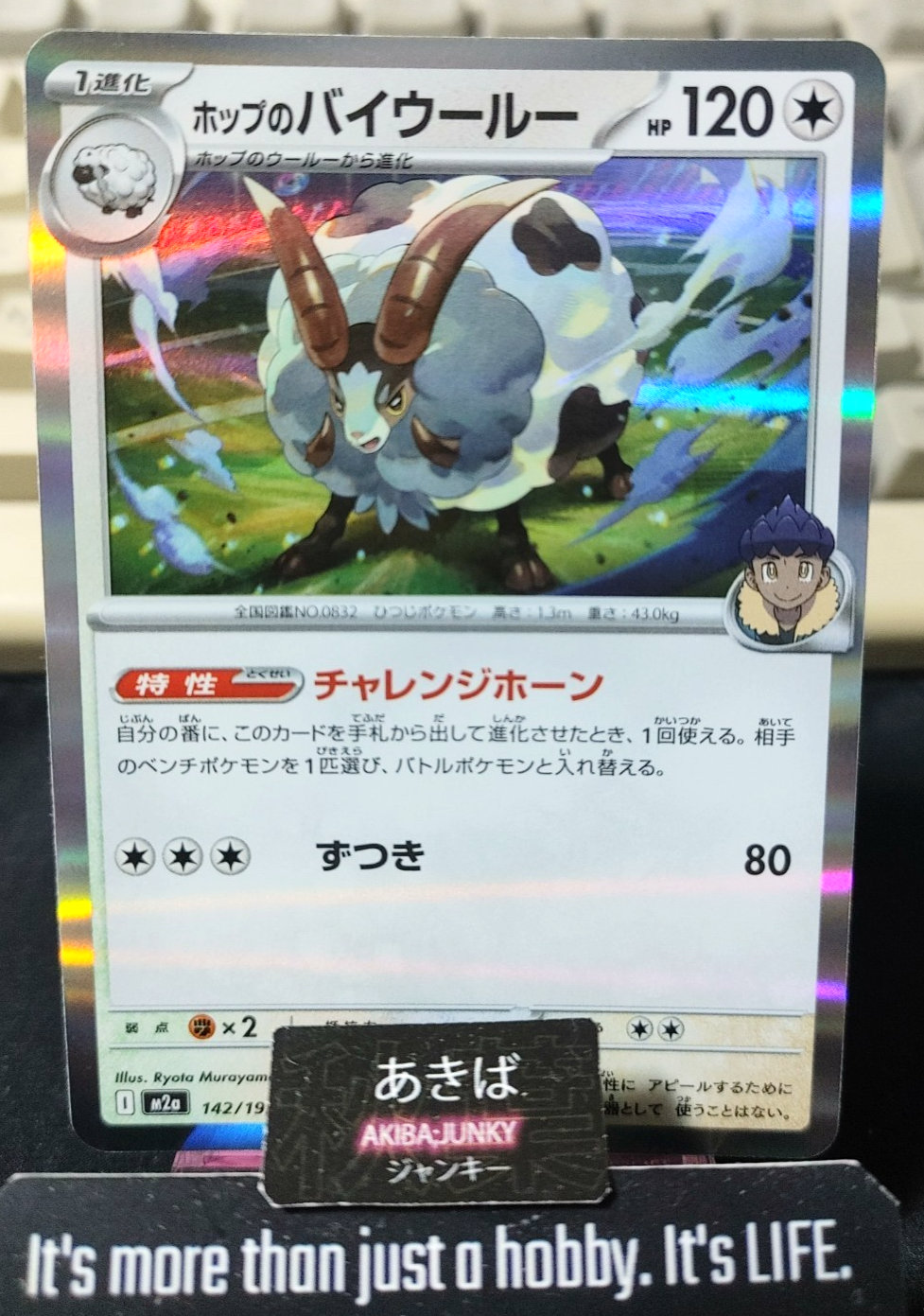 Pokemon Hop's Dubwool M2a 142/193 Card Japanese JAPAN