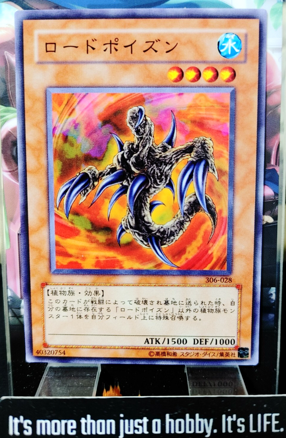 47428762