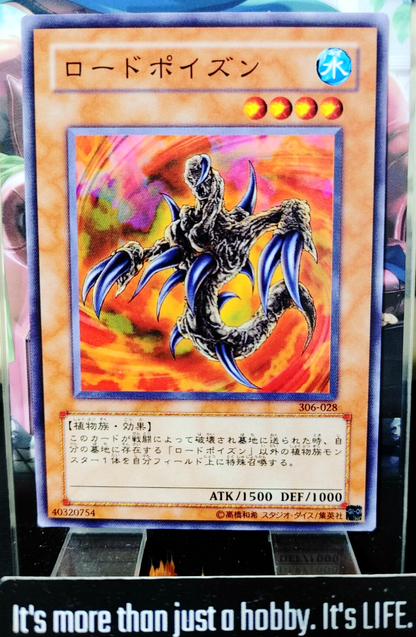 47428762