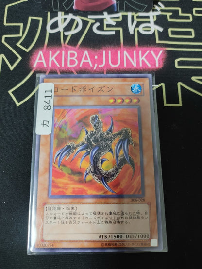 47428762
