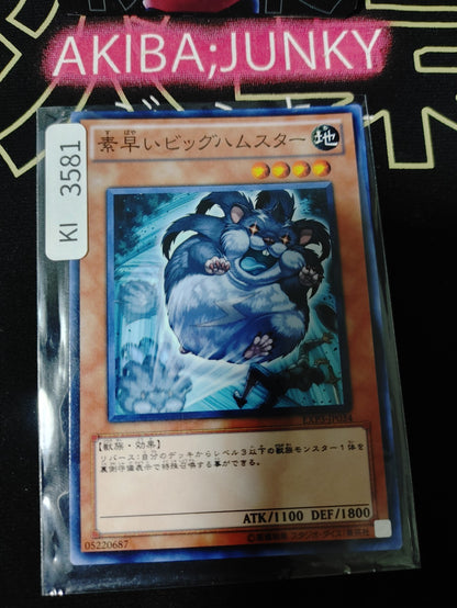 47432691