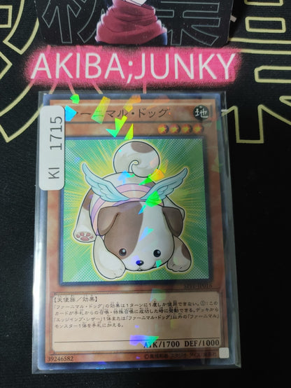 47431007