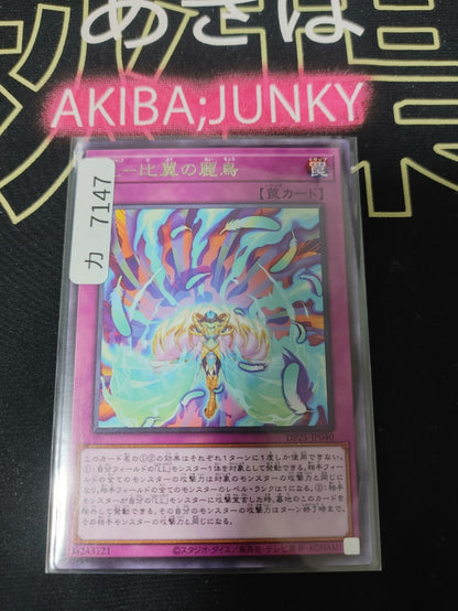 47431534