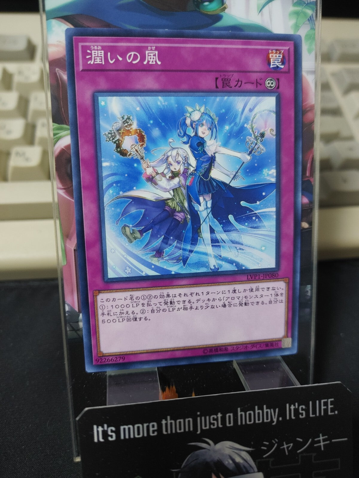 47431141