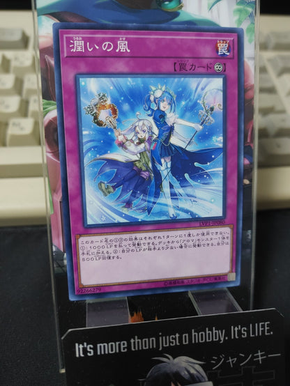 47431141