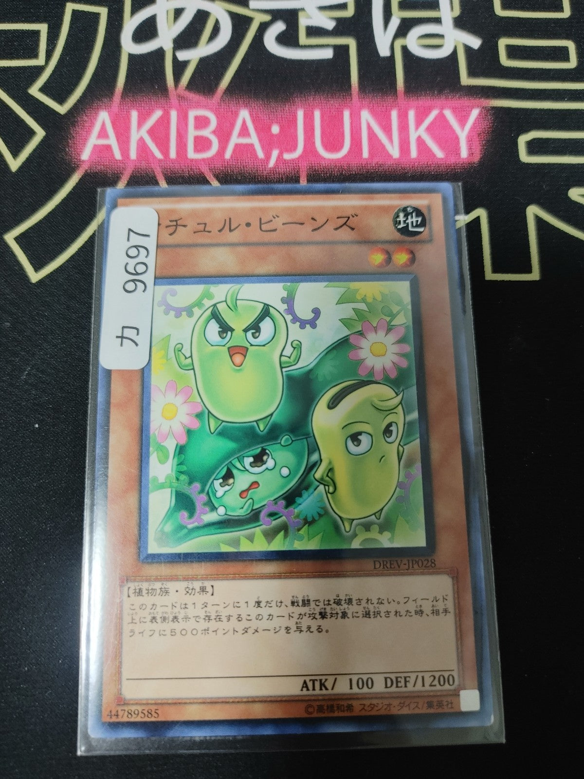 47425156