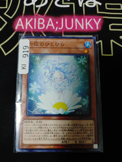 47429792