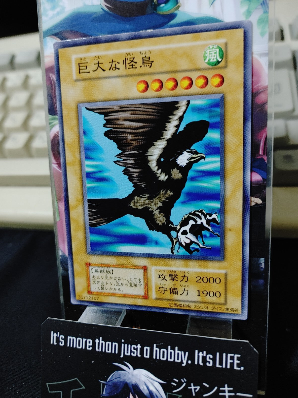 47435311