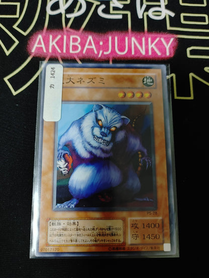 47423818